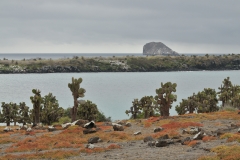 Looking across Santa Fe Island