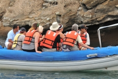 Dingy out to check out nearby cliffs for birds