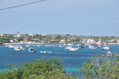 View of the harbor from the center