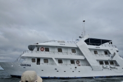 Our ship in the Galapagos - the Carina