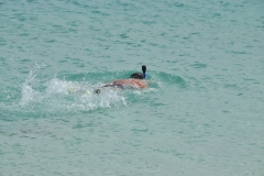 In all I was fortunate to snorkel 11 different times on different islands