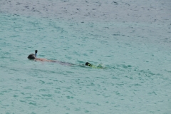 Havinig  the opportunity to snorkel with schools of fish