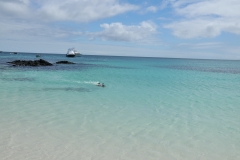 The Galapagos Islands are definitely a very special place on earth