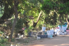 Pottery for sale alongside the traffic highway.