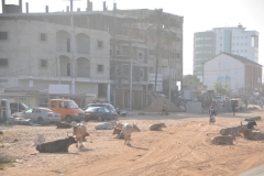 Here we have a major part of the city.  Notice the roads are not too paved. Remember the open air vehicle we are traveling in.  Definitely an interesting visit.