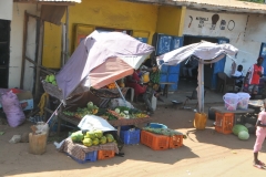 Local Fruits and Vegetables for sale
