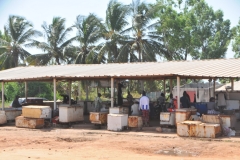 Fish and Meat market.. How about that natural refrigeration... the air.