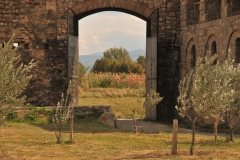 Could not resist this photo shot through the side open doors into the valley. It was like a framed photo.