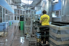 Automated filling the bottles with wine and sealing each bottle with a cork..