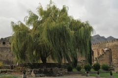 View of the gardens