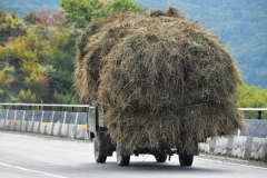 Don't think we could get away with this on our highways.