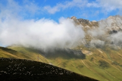 Sheep grazing still on the hillsides across the valley.