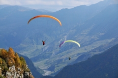 It was awesome watching them dive and turn into the wind and out of it floating on the up drafts of the air currents.