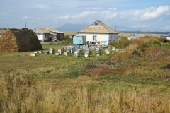 Hives for bees and honey