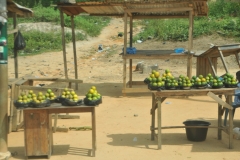 Oranges for sale. Just picked.