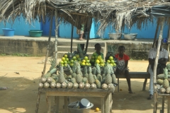 Oranges and pineapples.  Now the whole family is helping to sell the crops.
