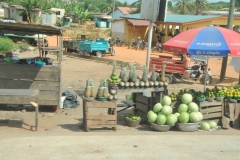 Now we have added melons to the mix to sell.