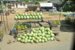 That cut water melon looks darn good to me.  Samples maybe? Great salesmanship.