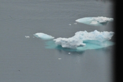Large chunks of former icebergs floating int he bay off Tasiilaq.