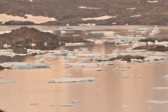 The bay is full of chunks of ice from icebergs breaking away.