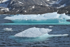 While cruising the harbor this morning with bright sun light we circled around  many icebergs. The ice looked luminescent almost.