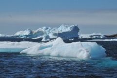 The massive junks of glacier that have broken lose from the main glacier and are now floating aimlessly in the water.