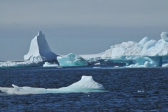 An iceberg is a large piece of freshwater ice that has broken off a glacier or an ice shelf and is floating freely in open salt water. Small bits of disintegrating icebergs are called "growlers" or "bergy bits".