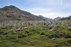 The cemetary of Tasiilaq