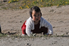 Even though it is the first of July the little one is wearing ear protection  against the cold..