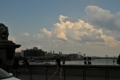 Looking up the Danube