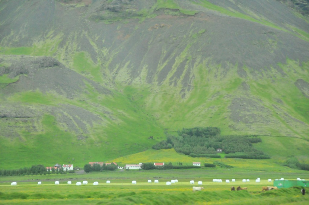 Icelanders are required to register their religion with the state, with almost three-quarters of the population affiliated to the established Evangelical Lutheran Church of Iceland