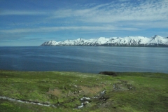 We are now driving to another fishing village. What you are seeing is the area we motored on the fjords to the entrance of the Atlantic Ocean to search for  Humpback Whales.