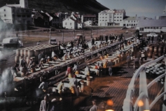 Working outside under all kinds of conditions in front of  the Róaldsbrakki building. In front of Róaldsbrakki there is an old-fashioned pier with work stations for the salting process