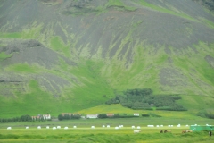 Icelanders are required to register their religion with the state, with almost three-quarters of the population affiliated to the established Evangelical Lutheran Church of Iceland