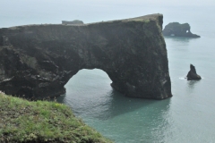 The closest major landmark is the Dyrhólaey rock arch and cliffs. While many seabirds are found at Reynisfjara, it is nothing compared to the numbers here. From May to August, it is one of the best places to see puffins from land.