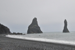 Upon visiting the beach, travelers will immediately observe rocky sea stacks sitting off the shoreline, known as Reynisdrangar.