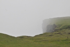 The top of this hill in the sudden fog that just came in is directly abovef the cave seen in an early photo.