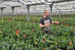 Here the owner is explaining the process and what makes the flowers grow year round in the harsh winter weather of Iceland.