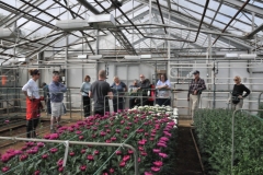 We learned so much in how to grow flowers in such harsh conditions. The flowers were awesome.