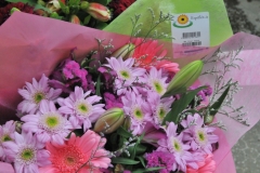 The flowers were absolutely beautiful. What a great way to grow them in such harsh conditions.