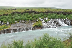 The Magic waterfalls of Hraunfossar a 2,900 foot stretch of lava where crystal clear springs splash through rocks and birch scrub before tumbling into a river  that appears beneath the lava's edge.