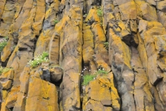 You can see the iron ore close up on the hill. Amazing how mother nature creates such beauty around the world.