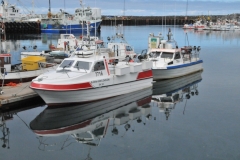 Today Arnarstapi is still a somewhat busy harbor during summer, with private fishing and recreational vessels filling the docks.