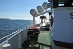 We had the opportunity to take an optional tour exploring Breidarfjorddur, an enormous bay.