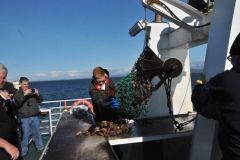 The bay is home to surprisingly large number of fish and shellfish so it is no surprise  that a highlight will be when the boat's net is cast and brings up fresh seafood and shellfish.