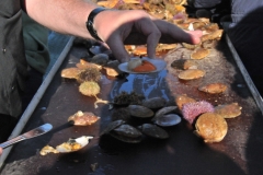 It was the best seafood and shellfish in many years. Never such a variety in my life.