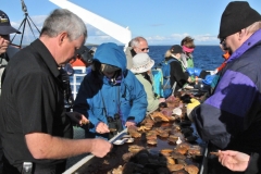 Beggi was busy opening up shellfish for us to enjoy the delicacies