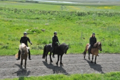 We were treated to see how the horses are worked in varying degrees of tricks, riding and horsemanship.
