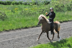 Here we have a rider showing how smooth it can be riding the horse and carrying a beverage. We hope this is not the beginning of riding and drinking.   DWOAH.. Drinking  While On A Horse. . A little humor.