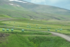 Hay that has been cut and rolled into plastic for protection from the long cold winter.